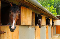 free New Bolingbroke stable construction quotes